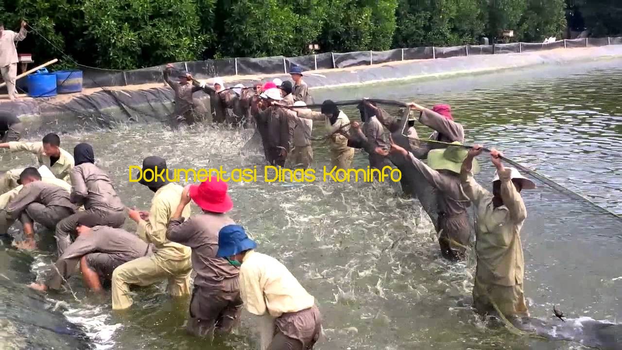 Gambar berita