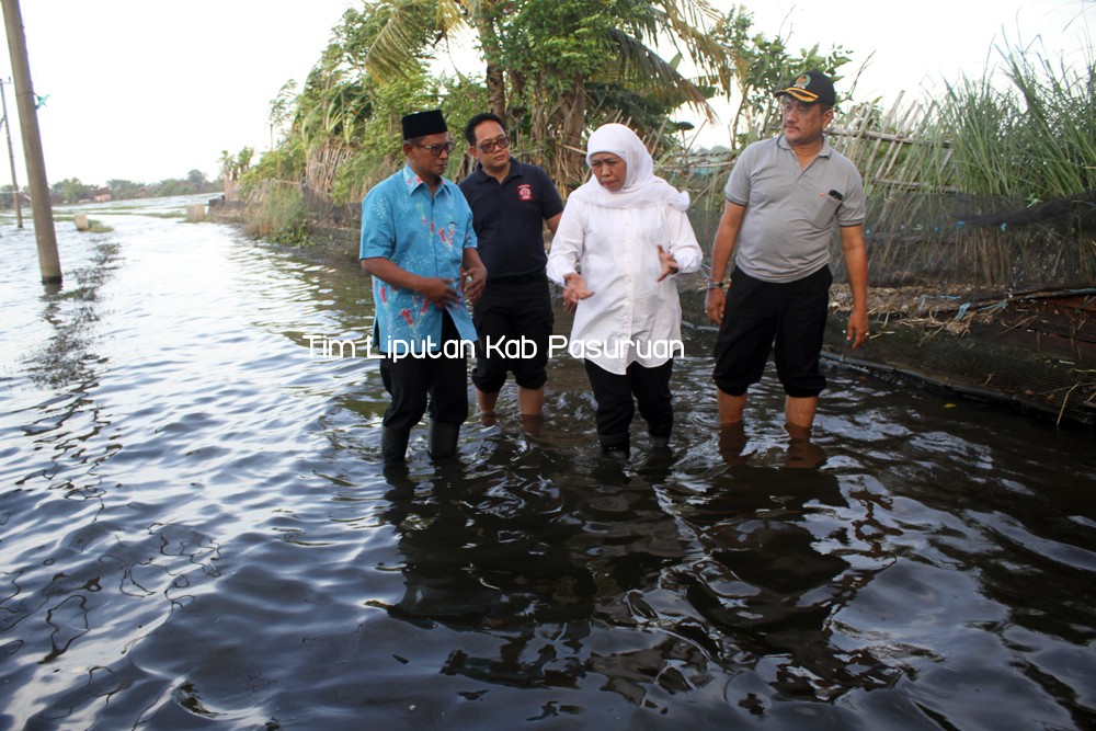 Gambar berita