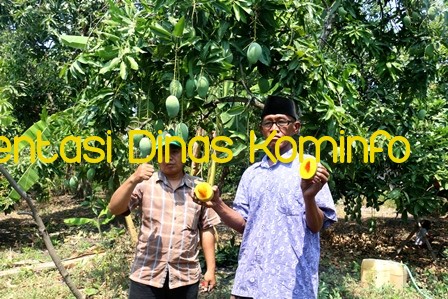 Gambar berita