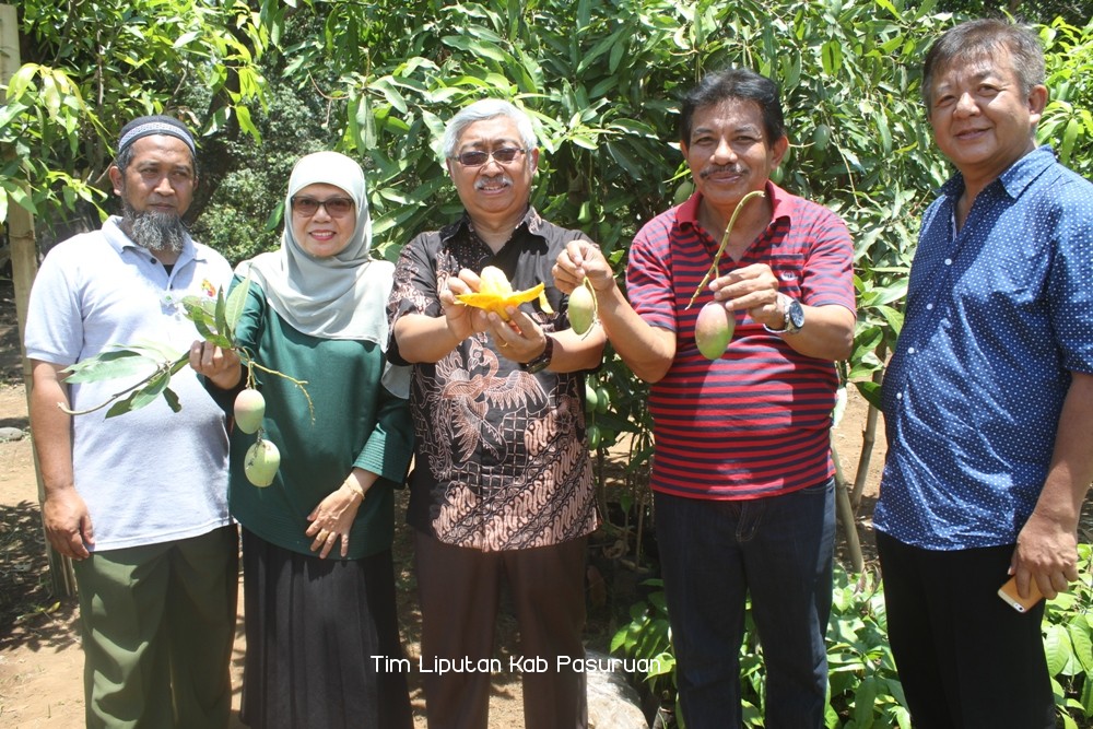 Gambar berita