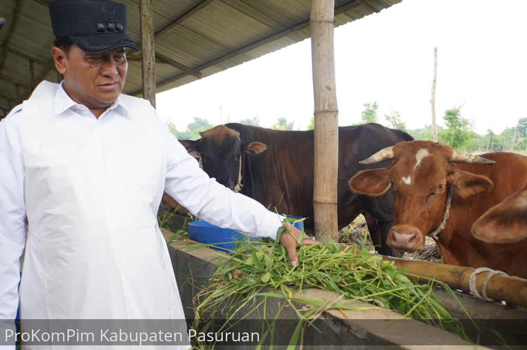 Tekan Penyebaran PMK, Pj. Bupati Nurkholis Minta Peternak Tidak Obati Sendiri Ternak Yang Terjangkit