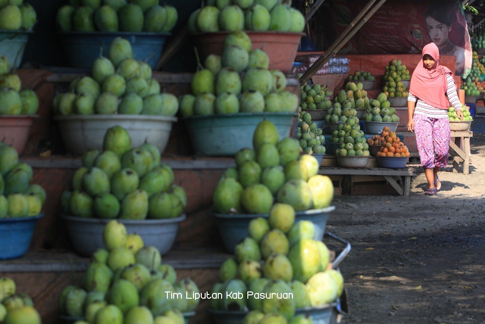 Perluas Area Tanam Mangga Klonal 21 Hingga 150 Hektar