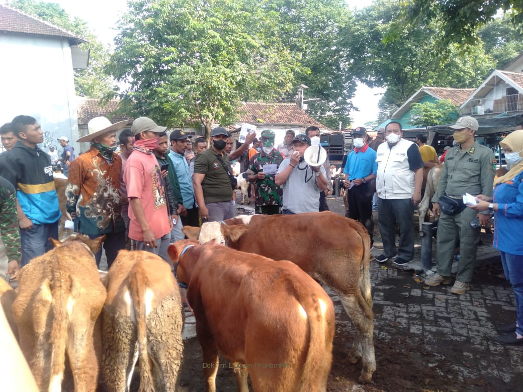 Terus Gencar Sosialisasikan Bahaya PMK. Kalau Ada Temuan, Warga Bisa Lapor ke Call Center Atau Nomor Petugas 