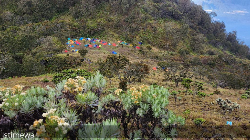 Per 1 November 2024, Pendakian Gunung Arjuno-Welirang Ditutup