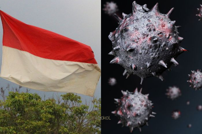 3591 Warga Kabupaten Pasuruan Telah Terinfeksi Covid-19