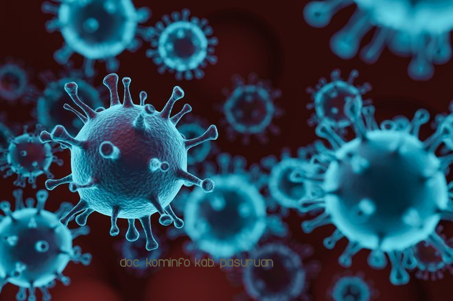 Terus Bertambah. 27 Warga Kabupaten Pasuruan Terpapar Virus Corona. Total 273 Positif Covid-19