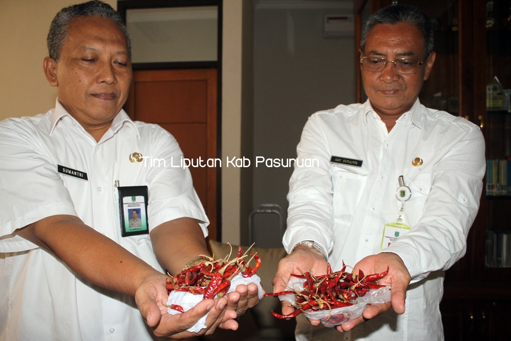 Gambar berita