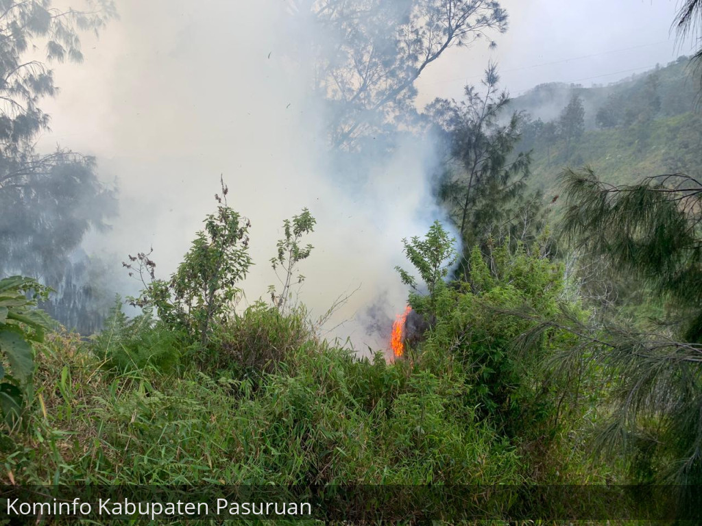 Gambar berita