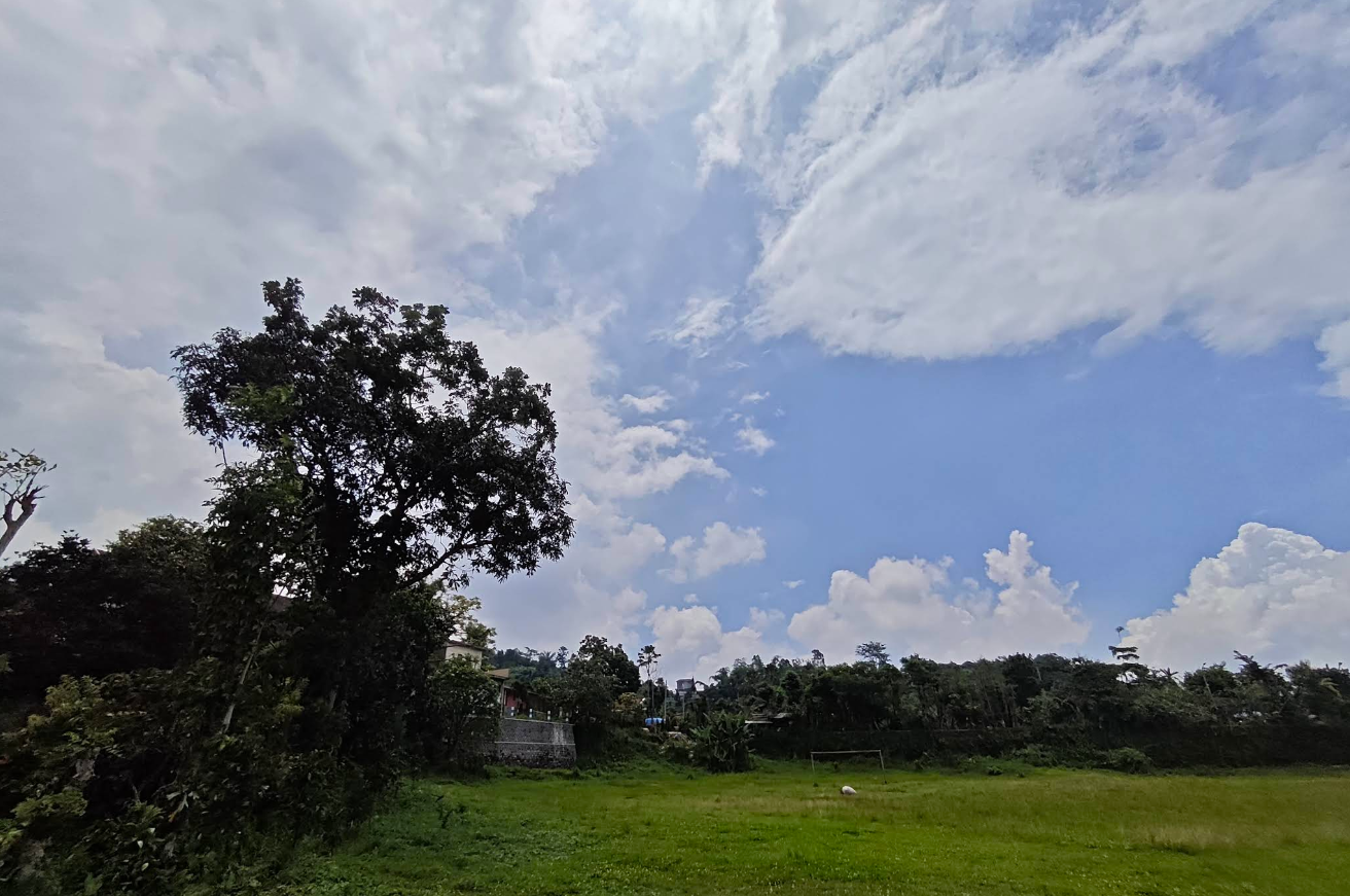 Blog