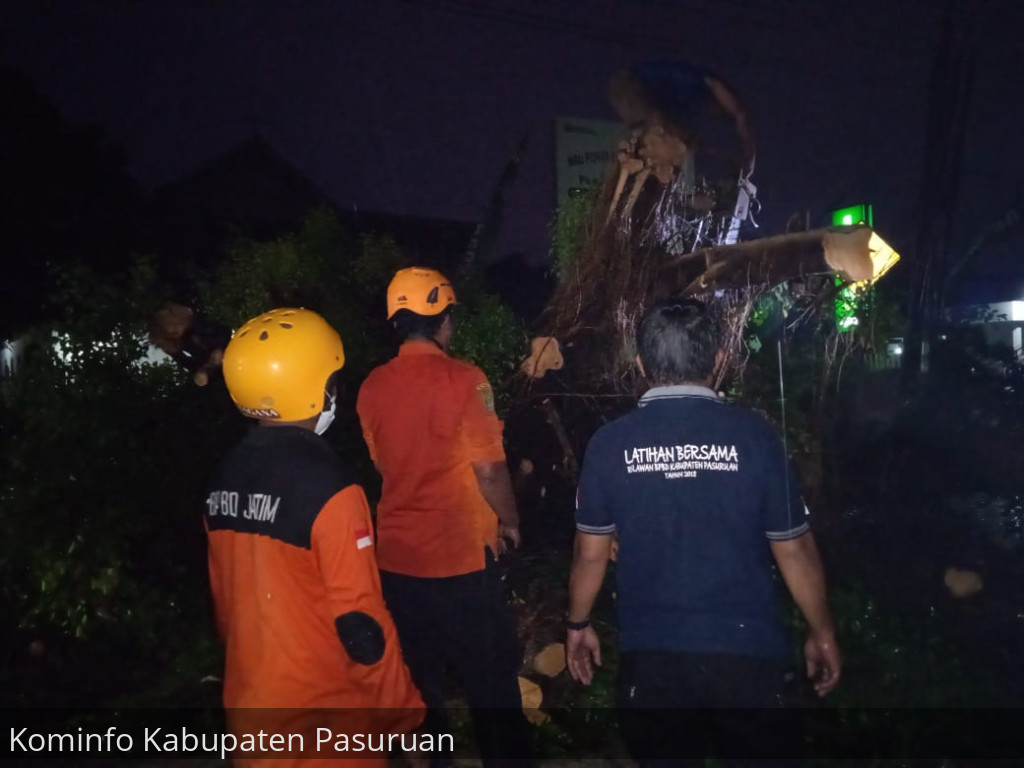 BPBD Himbau Warga Pemilik Pohon Besar Untuk Lakukan Pemangkasan Hindari Pohon Tumbang