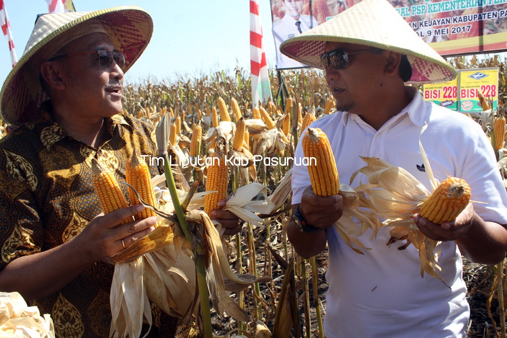 Gambar berita