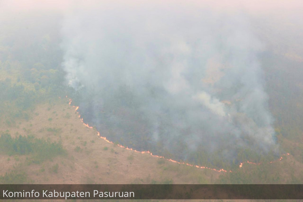 Gambar berita
