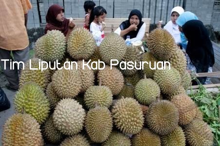 YUK!!!! RAME-RAME DATANG KE FESTIVAL DURIAN KAKAP, 20 RIBU DURIAN SIAP DIBAWA PULANG