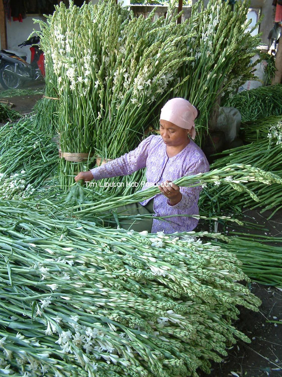 Jelang Lebaran, Permintaan Bunga Sedap Malam Naik Signifikan
