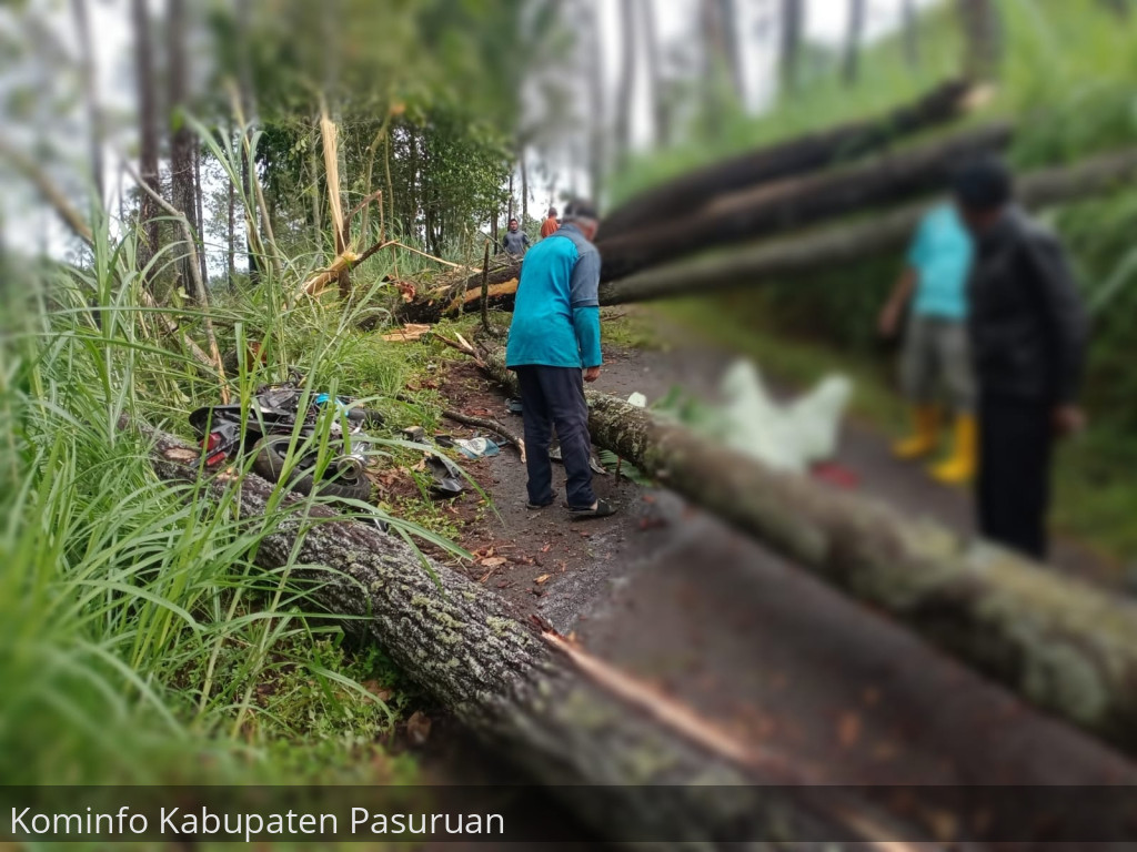 Gambar berita