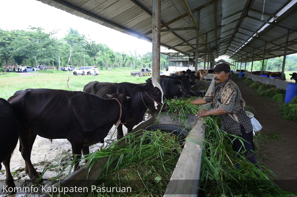 Dinas Peternakan Jatim Pastikan Vaksin PMK Akan Datang, Secepatnya