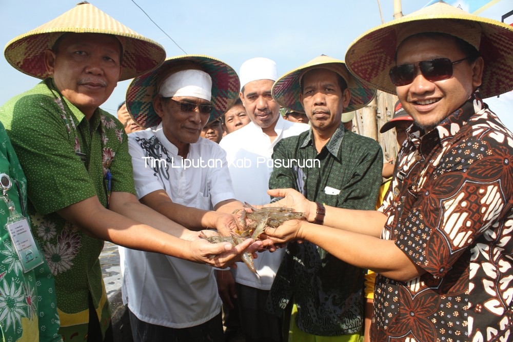 Gambar berita