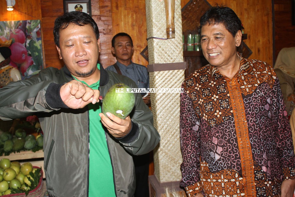 PEMERINTAH TETAPKAN MANGGA GADUNG 21 SEBAGAI BUAH ASLI KABUPATEN PASURUAN