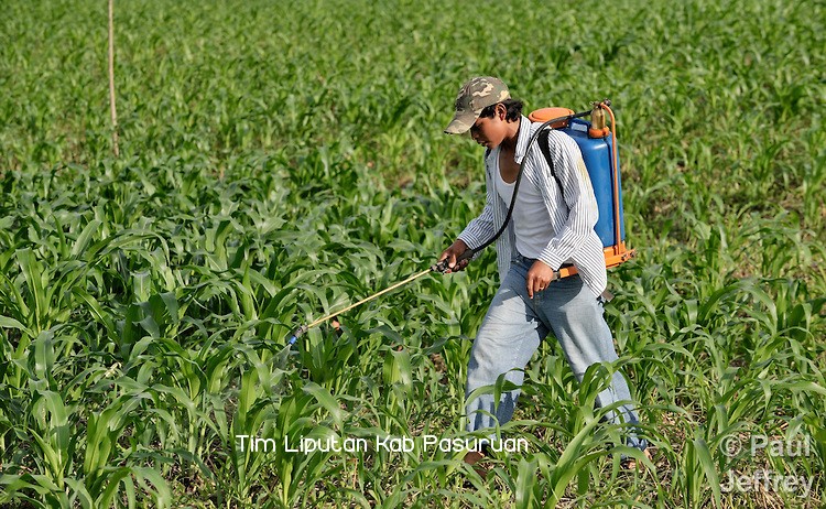 Daerah Penyangga Pertanian Nasional, Kabupaten Pasuruan Terima Tambahan Kuota Pupuk