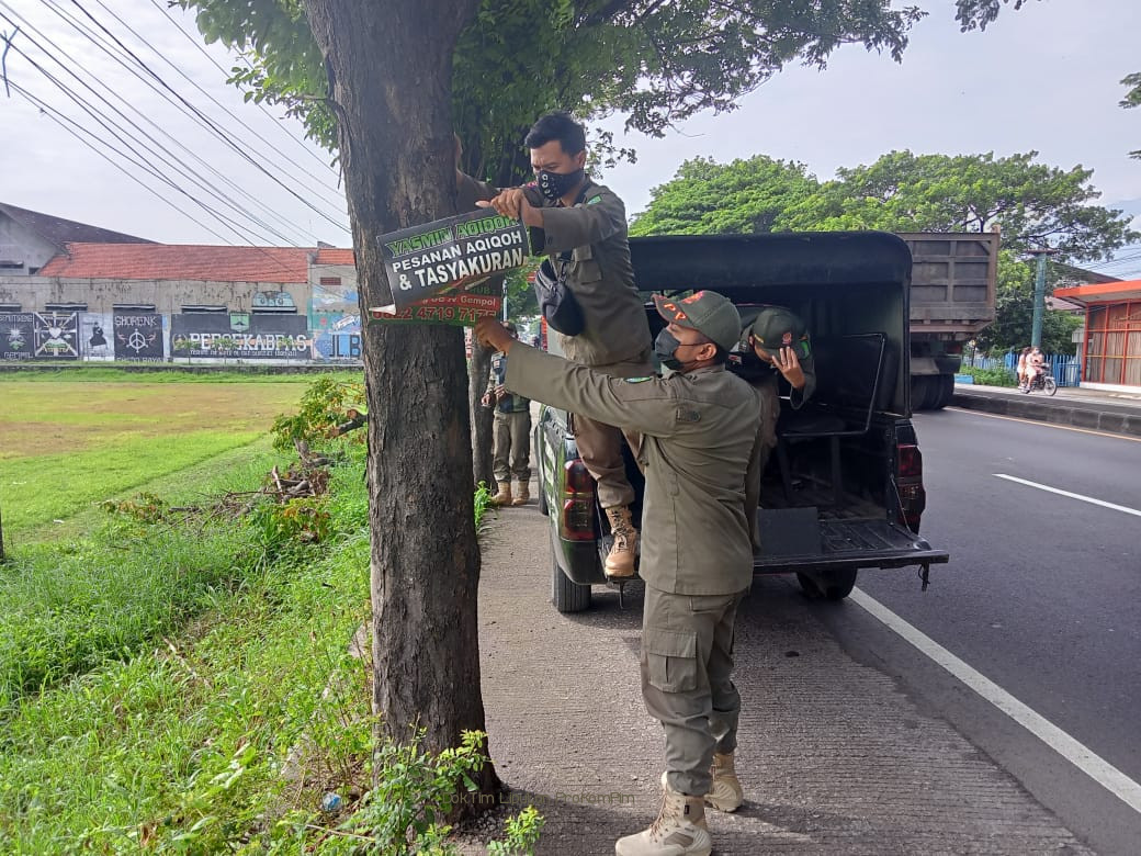 Satpol PP Kabupaten Pasuruan Turunkan Ratusan Banner Liar Ditancapkan di Pepohonan