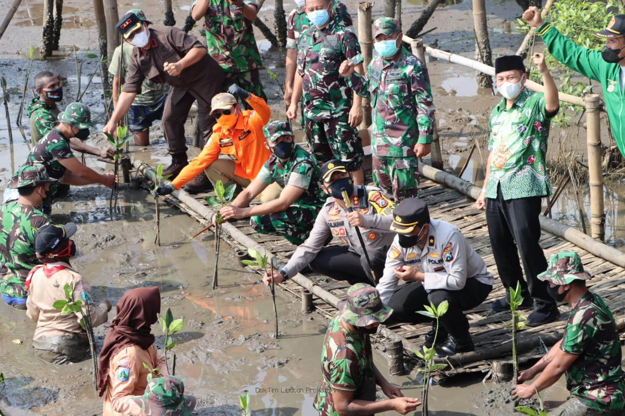 Selamatkan Pantai dari Abrasi, Ribuan Bibit Mangrove Ditanam di Perairan Pasuruan 