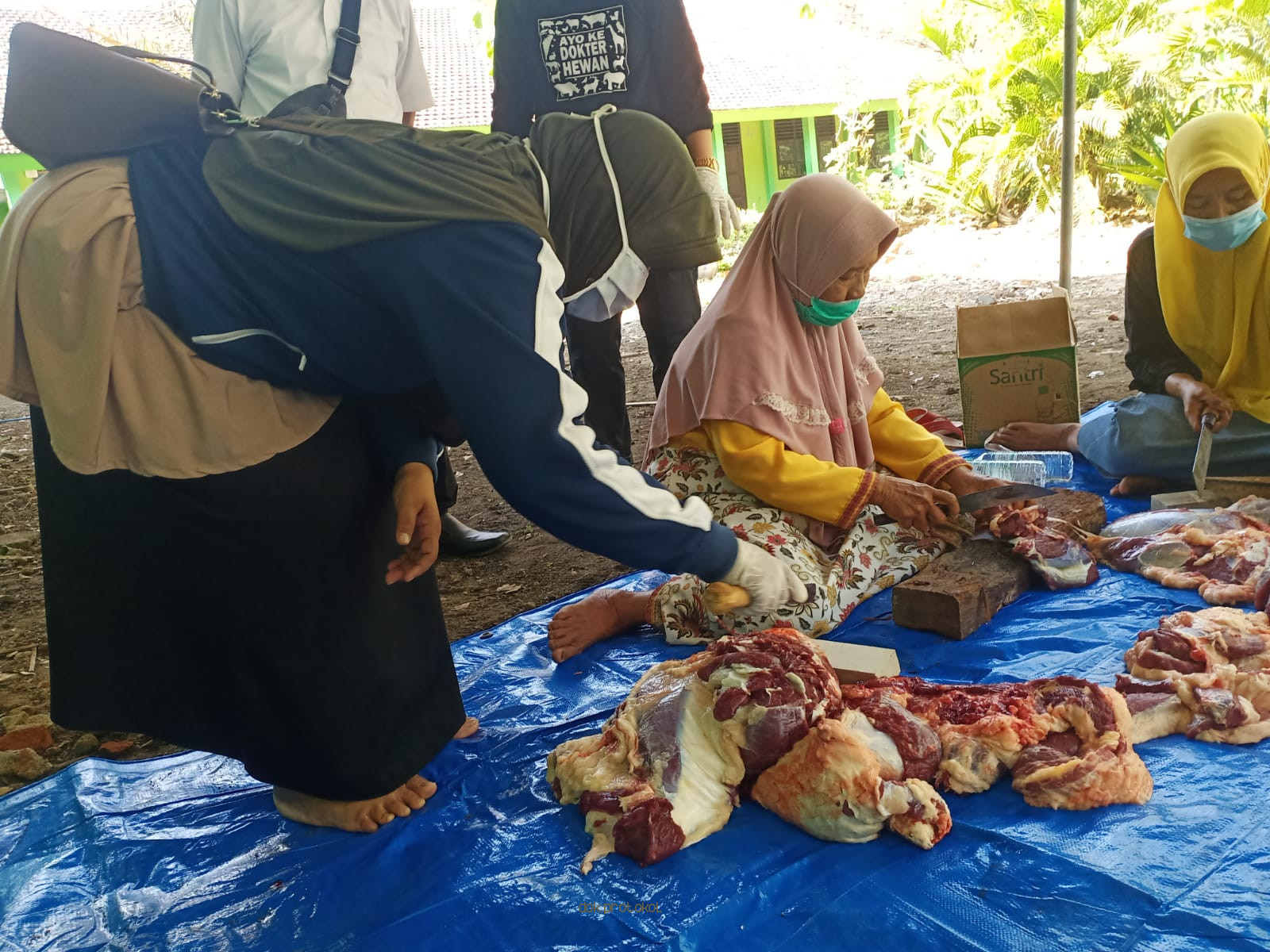 Pemeriksaan 2818 Hewan Qurban, Dinas Peternakan Kabupaten Pasuruan Temukan 36 Kasus Cacing Hati 