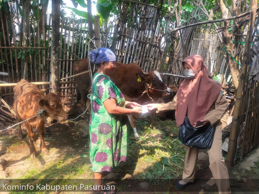 Kasus PMK Kembali Merebak. Puluhan Sapi Mati. Pj Bupati Andriyanto Minta Peternak Tingkatkan Kewaspadaan