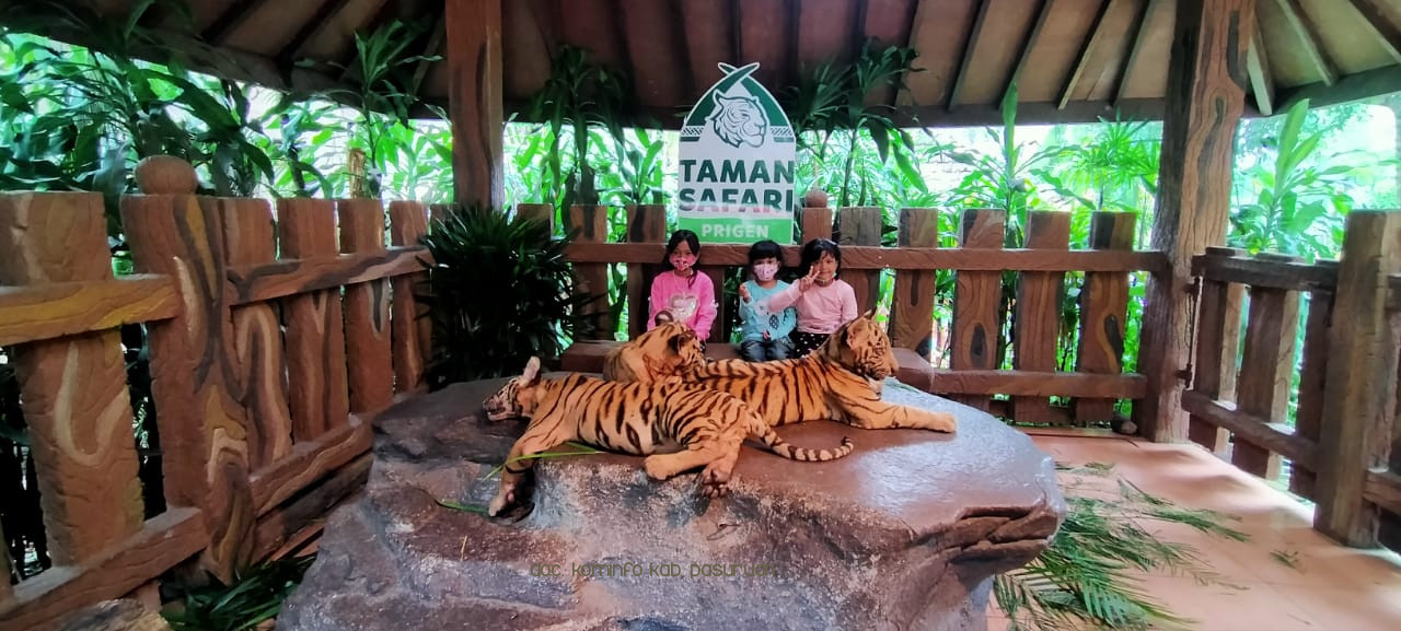 3 Bayi Harimau Benggala Lahir di TSI II Prigen
