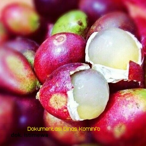 Kecamatan Sukorejo, The City of Matoa