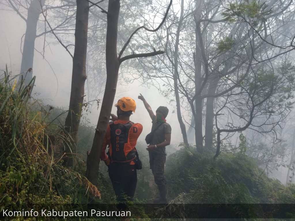 Karhutla Kembali Terjadi Di Kawasan Gunung Bromo