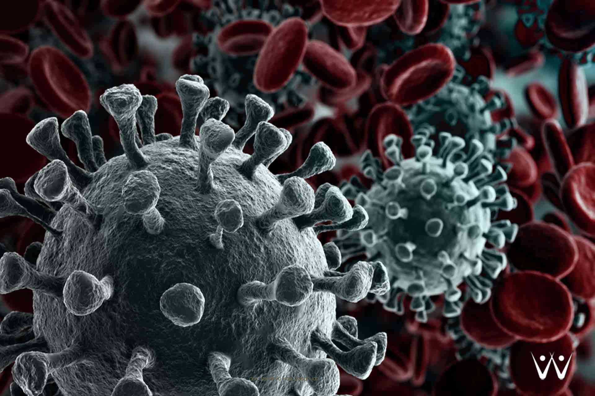 1736 Warga Kabupaten Pasuruan Telah Terinfeksi Virus Corona. 1504 Diantaranya Sembuh