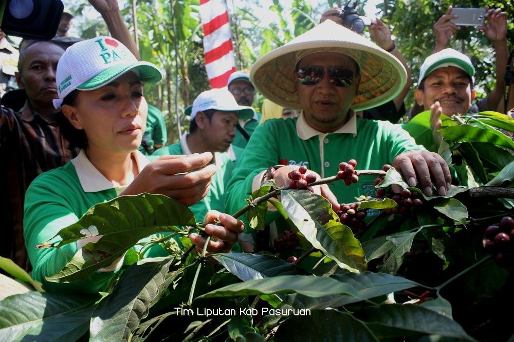 Kapiten Pasuruan Masuk Top 16 Kopi Terbaik Nasional