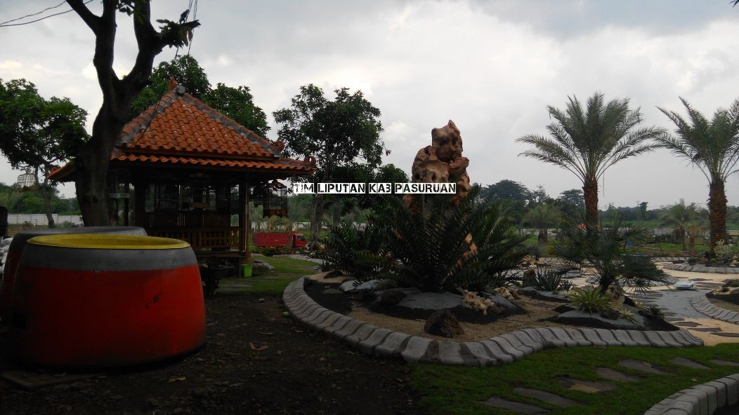 SATU-SATUNYA DI INDONESIA, PASURUAN PUNYA KEBUN WISATA KURMA