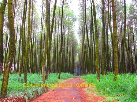 Kecamatan Tutur, Objek Wisata Bertutur Keindahan 