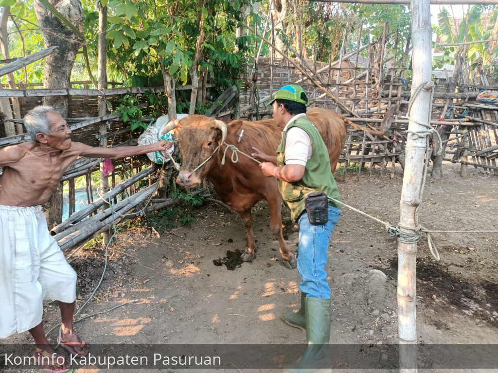 133.148 Ternak di Kabupaten Pasuruan Telah Tervaksin