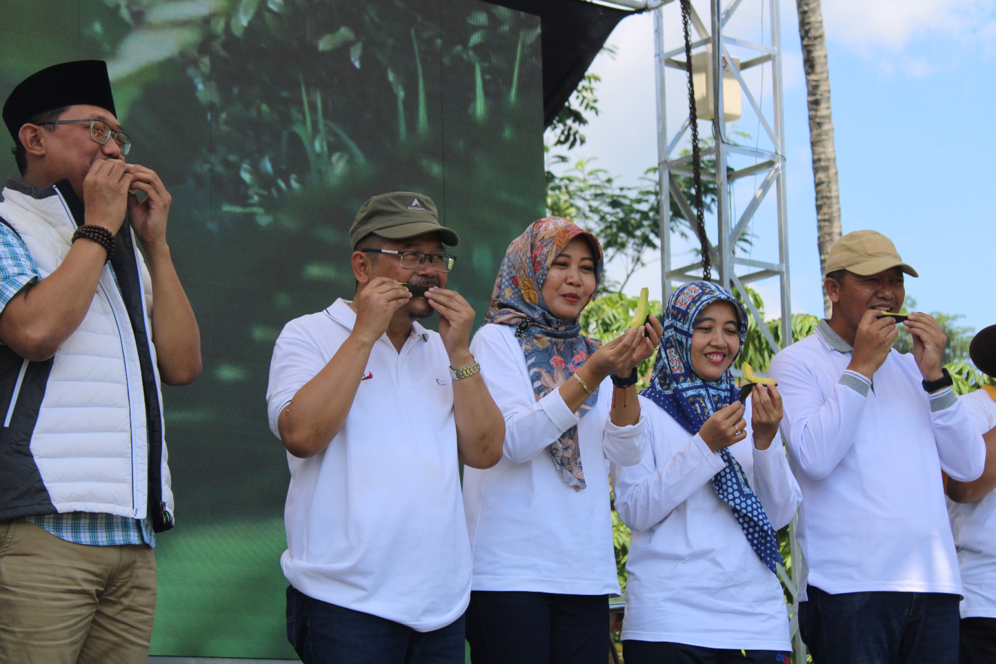 Sampul untuk Festival GEMA KATING (Gerakan Makan Alpukat untuk Penanggulangan Stunting) 2024