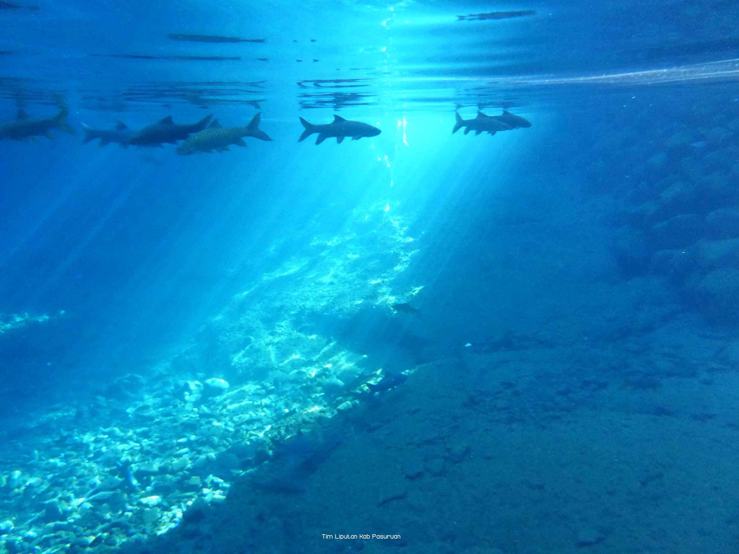 Segarnya Alam, Segarnya Banyu Biru 